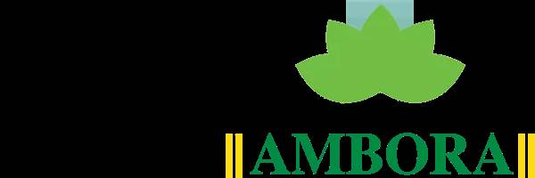 banner image of Ambora Star Ambora Star