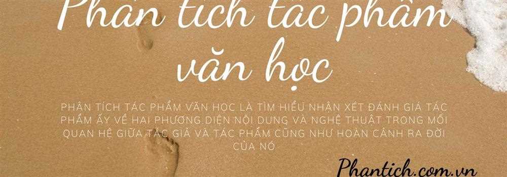 banner image of Phân tích phantich