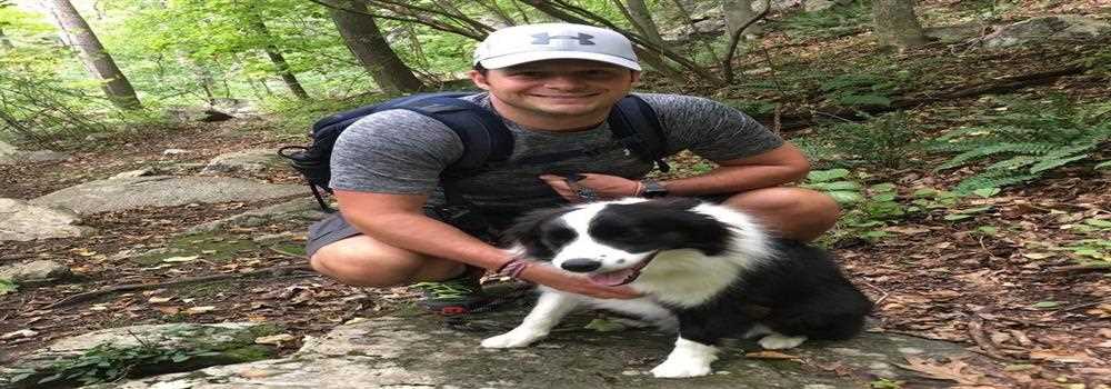 banner image of Nick Lee