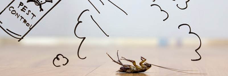 banner image of Pest city USA Pest City USA