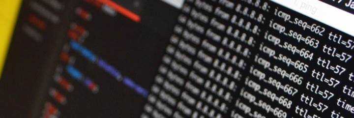 banner image of Kely Berenson