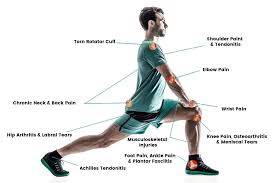 banner image of raja singh