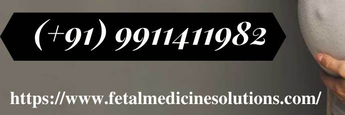 banner image of Neha Gupta