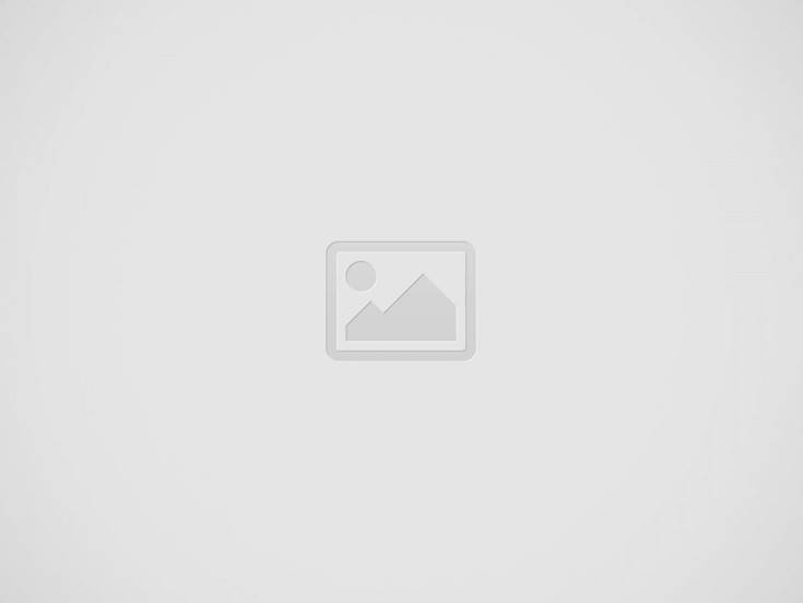 banner image of Allan Donald