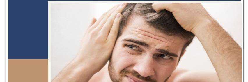 banner image of Realhair house1