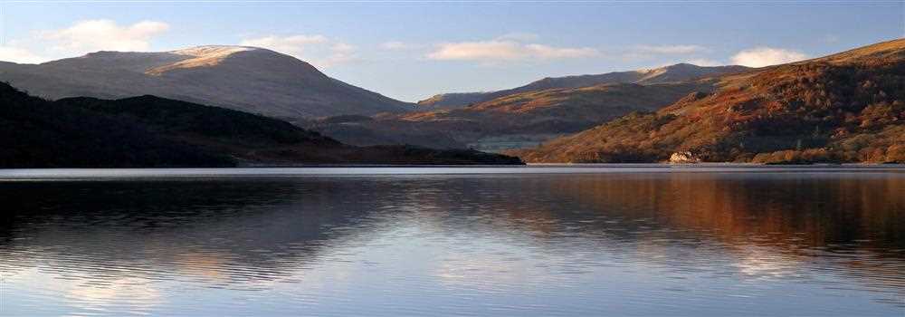 banner image of Jack Johnson