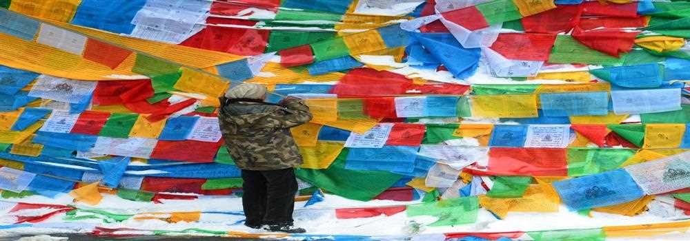 banner image of Riya sharma