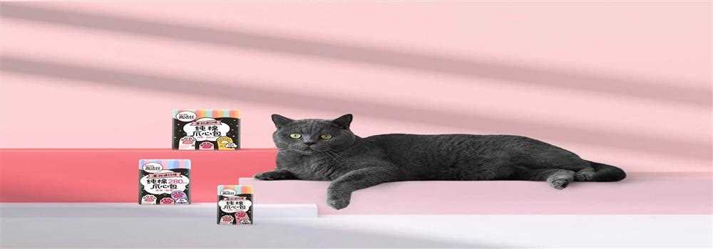 banner image of Tamy Cia