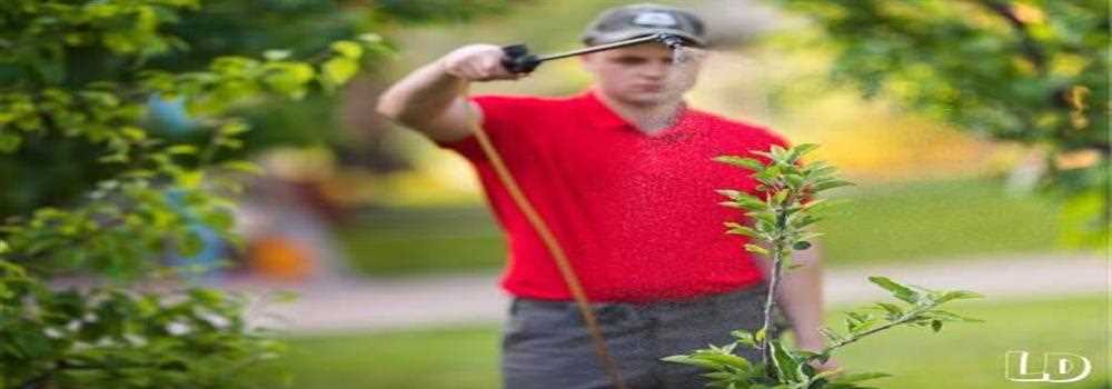 banner image of John Nizk