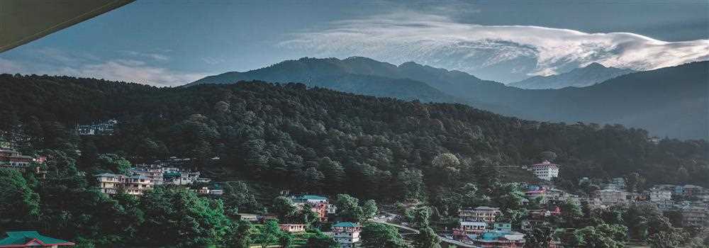 banner image of Uncia Trails 