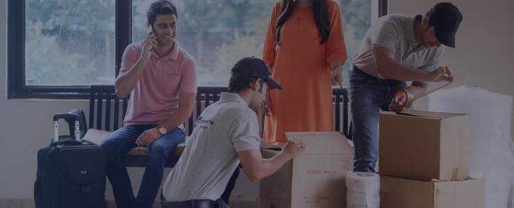 banner image of Air Cargo Packers & Logistics cargo