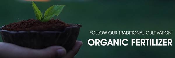 banner image of Abono Biotech Industries Private Limited 