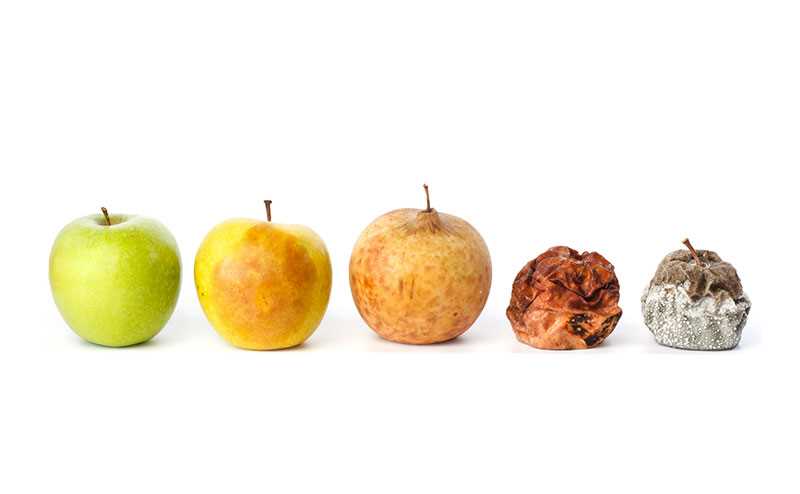 banner image of Diane Jack