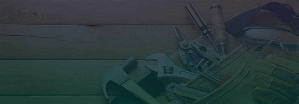 banner image of Gwen Cushman