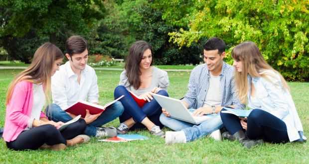 banner image of Amanda Frank