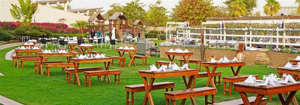 banner image of Chef's Garden 