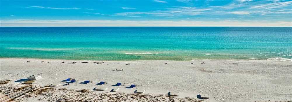 banner image of Michelle Hauer