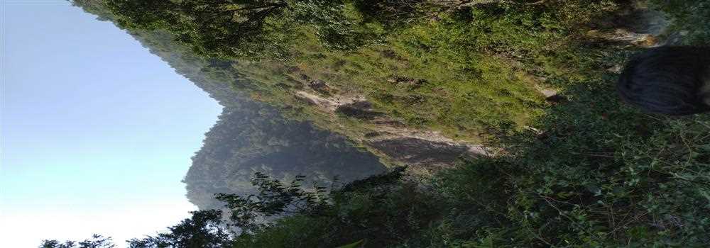 banner image of Nikhil Ranjan