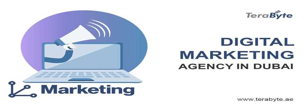 banner image of TeraByte Digital Marketing Agency Dubai 