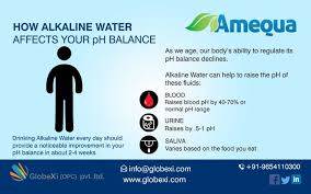 banner image of globexi GlobeXi(OPC)Private Limited