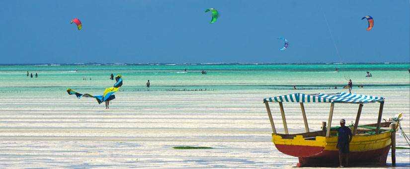 banner image of Erika Tikraite