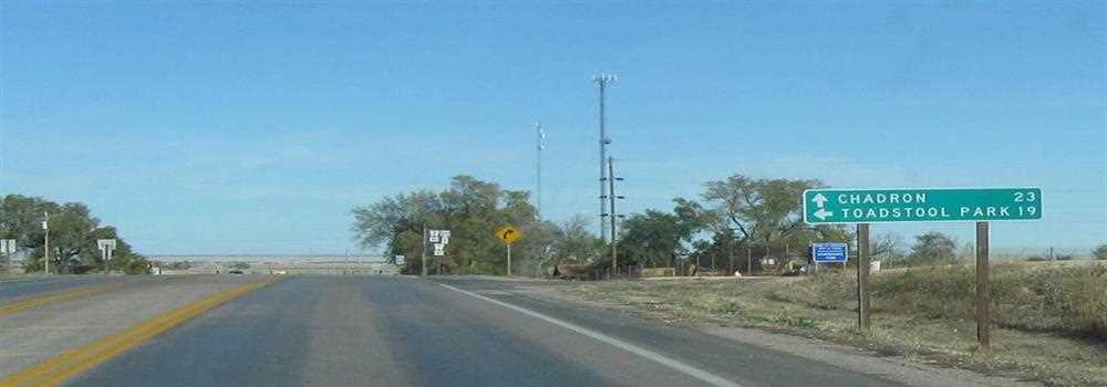 banner image of Jasmine Demeester