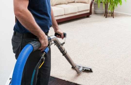 banner image of Carpet Steam  Cleaning