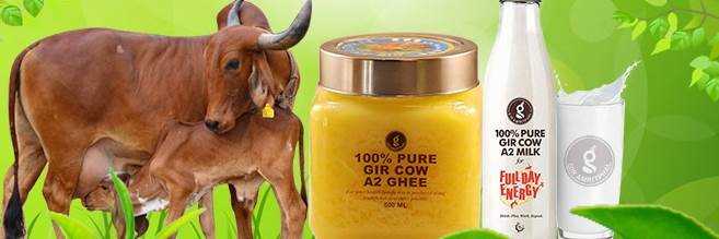 banner image of Gir Amrit Phal Gir Amrit Phal