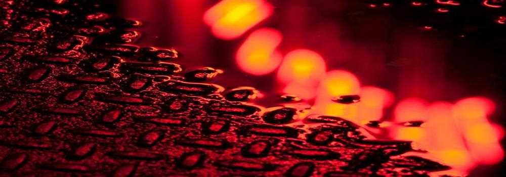 banner image of Brayden Ronan