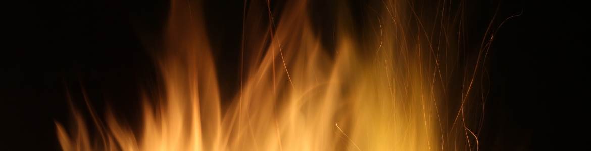 banner image of Melissa Johns