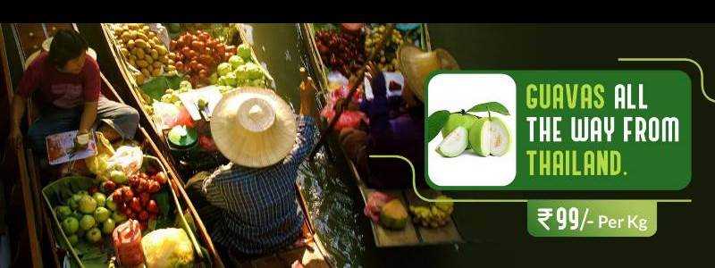banner image of Microgreen team
