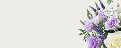 banner image of Kayleigh Frost