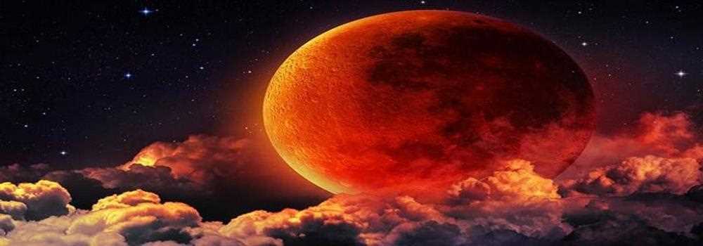 banner image of Daniel Allen