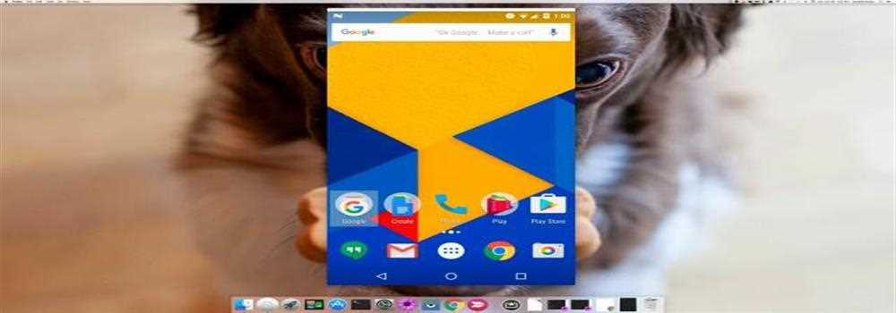 banner image of Max Hacker