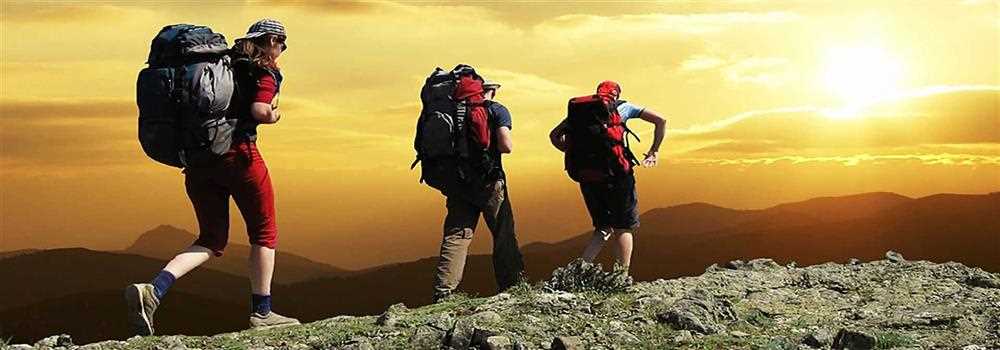 banner image of Nature Trail Rajasthanas Nature Trail Rajasthanas