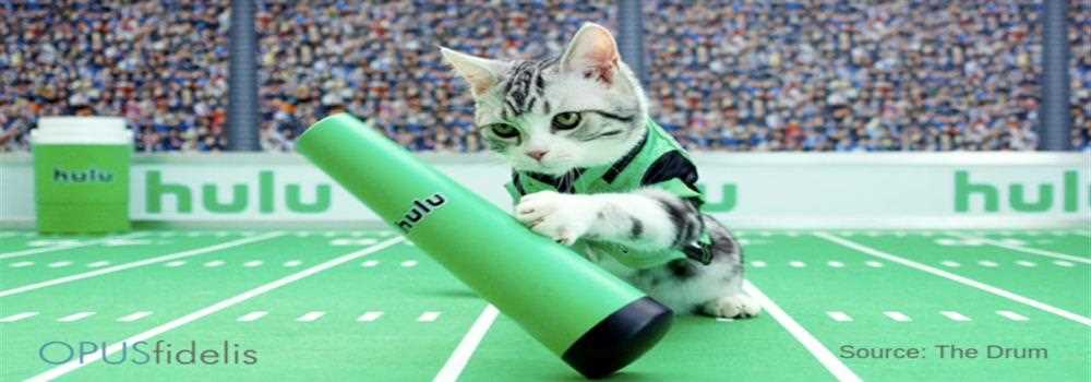 banner image of John Malcova