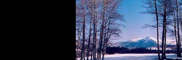 banner image of No ONE