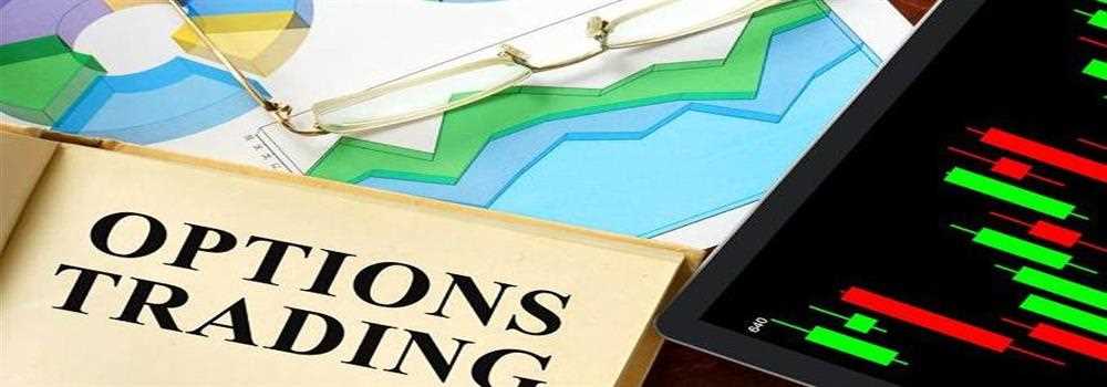 banner image of Priya Singh