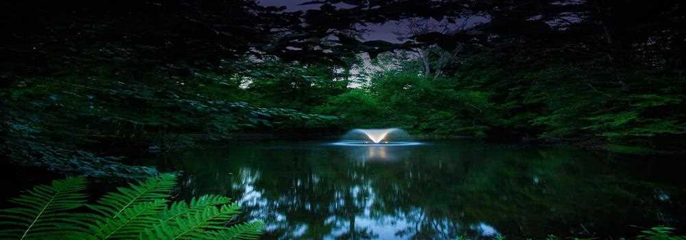 banner image of Discount Pumps 