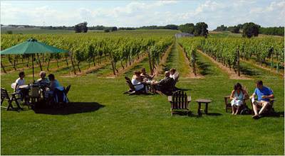 banner image of Hamza Sheraz