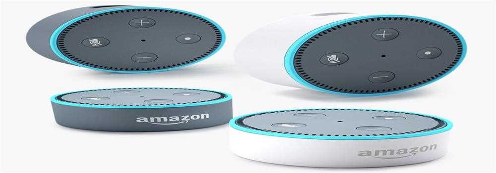 banner image of Dot causa 