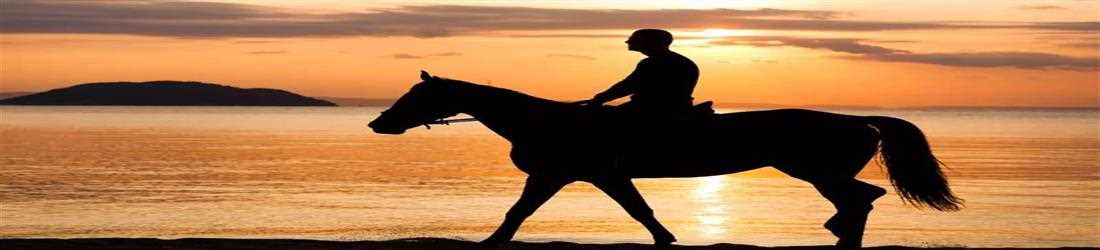 banner image of Annaliza Beth