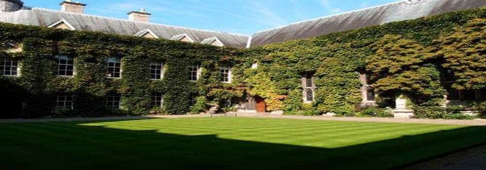 banner image of Pat Johnson