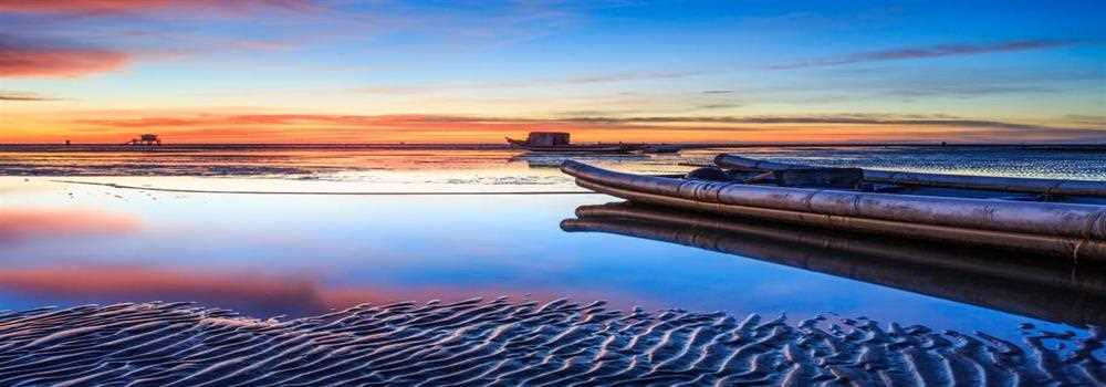 banner image of Nisha Sharma