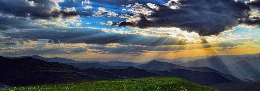 banner image of Miguel Foster