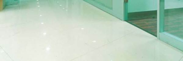 banner image of Sole Digitizing 