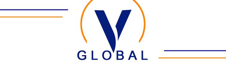 banner image of V Global MBBS Consultancy 