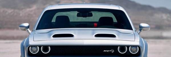 banner image of Madison Loura