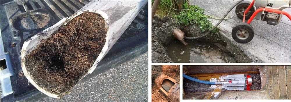 banner image of Ian King