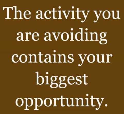 banner image of Sophia Nora